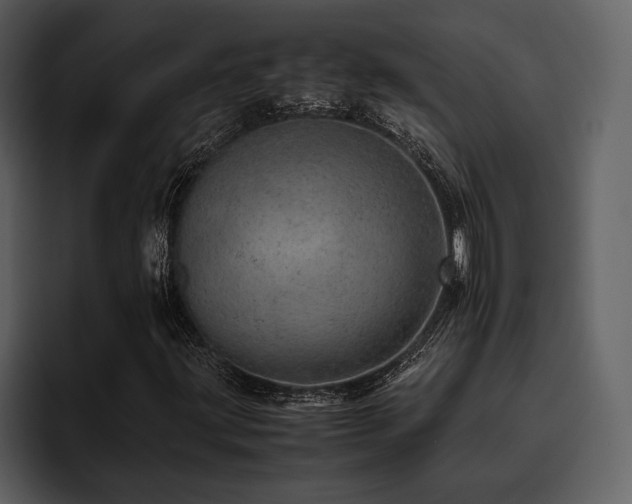 X0000095951203200801111343