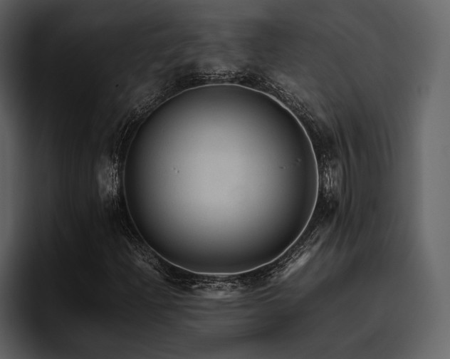X0000095951204200801111343