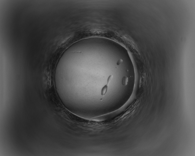 X0000095951205200801111343