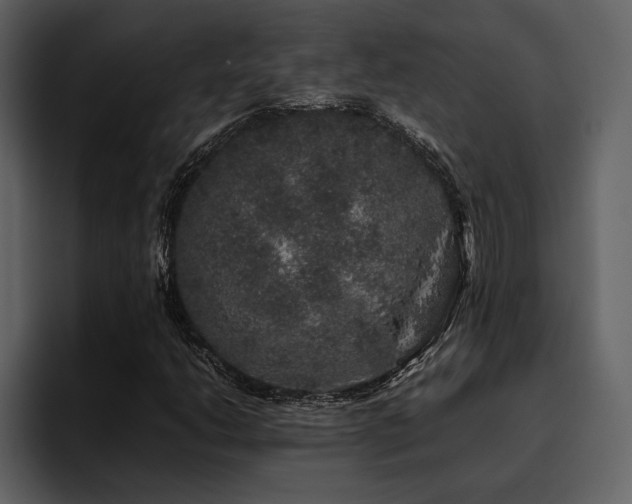 X0000095951206200801111343