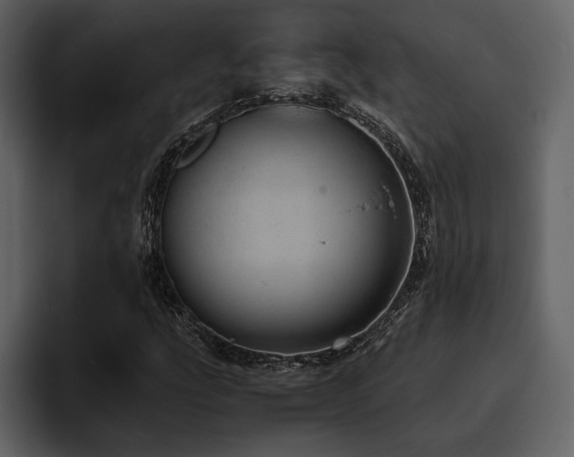 X0000095951207200801111343