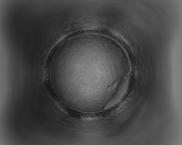X0000095951208200801111343