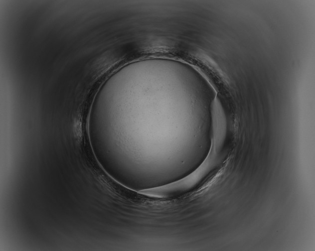 X0000095951209200801111343