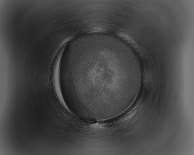 X0000095951210200801111343