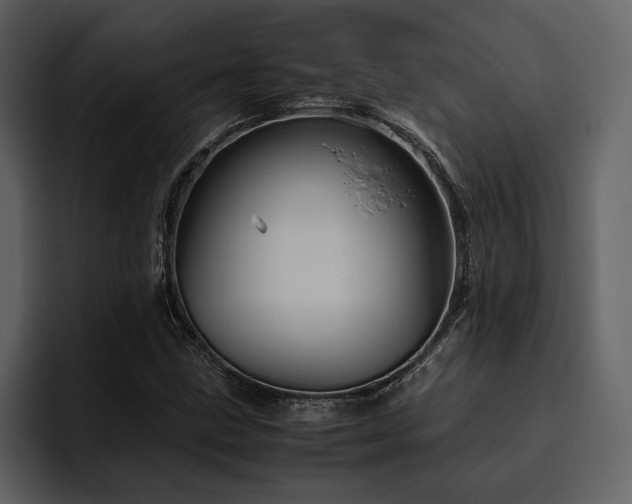 X0000095951211200801111343