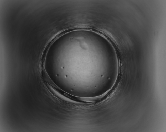 X0000095951212200801111343