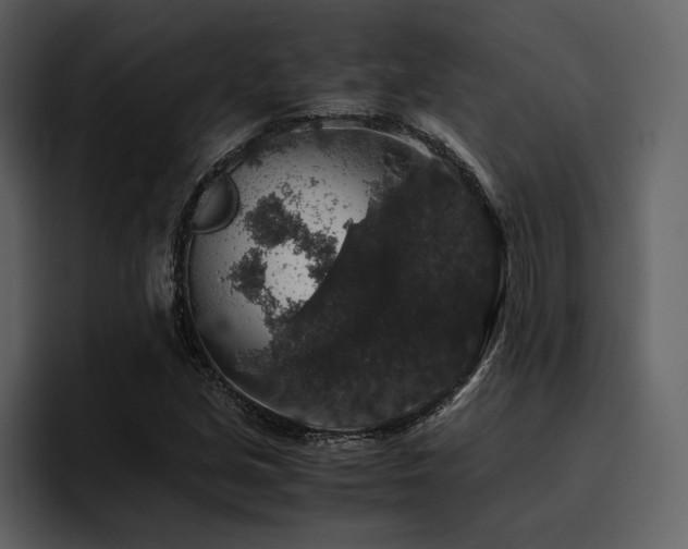 X0000095951213200801111343