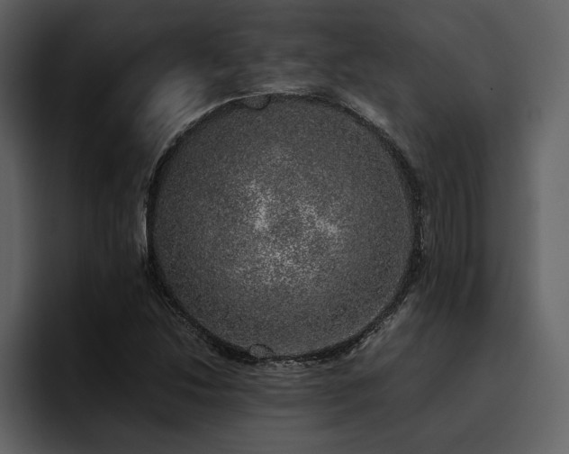 X0000095951214200801111343