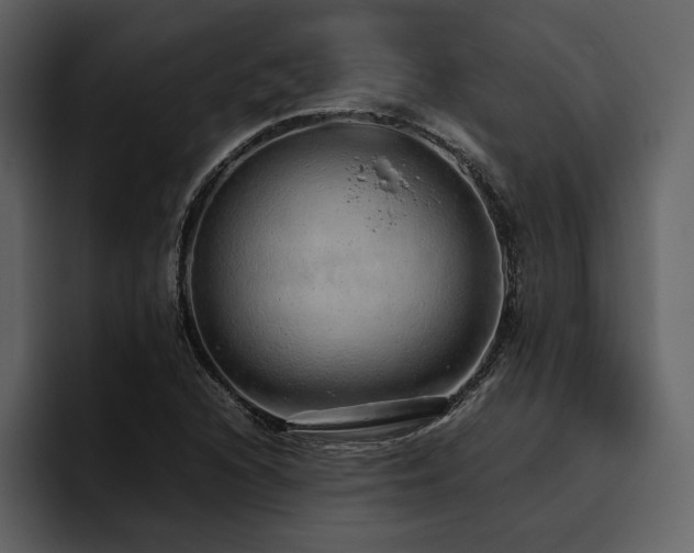 X0000095951216200801111343