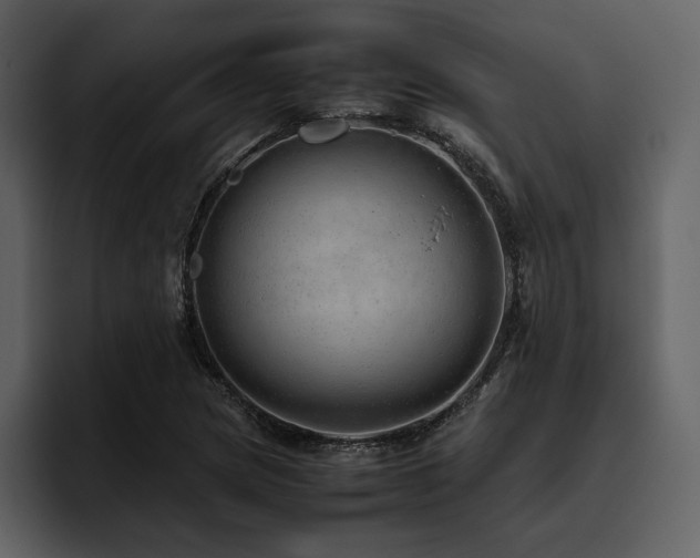 X0000095951217200801111343