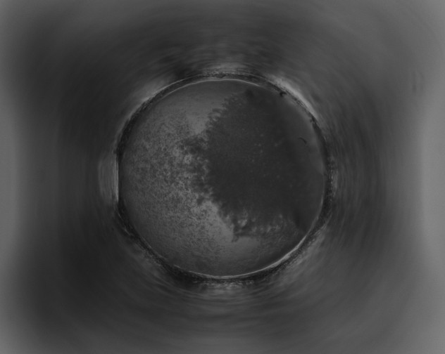 X0000095951219200801111343