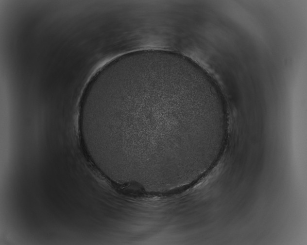 X0000095951222200801111343