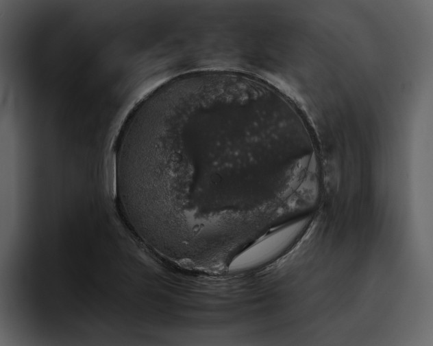 X0000095951223200801111343
