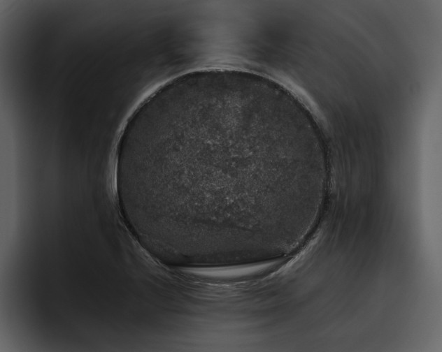 X0000095951224200801111343