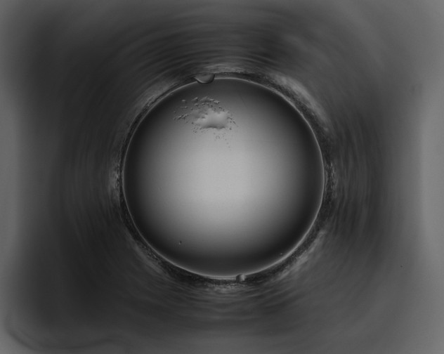 X0000095951225200801111343