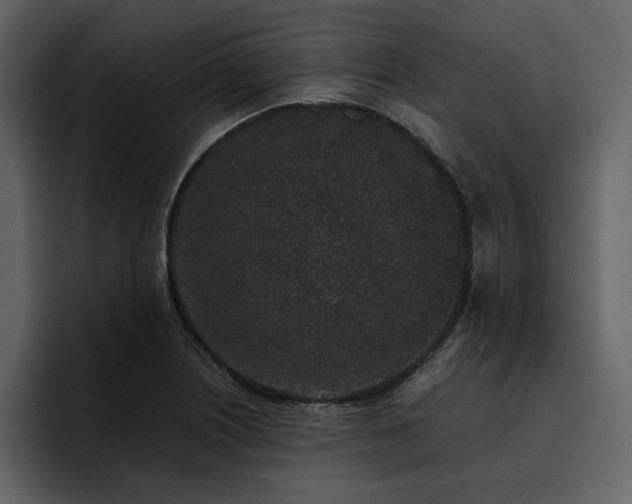 X0000095951226200801111343