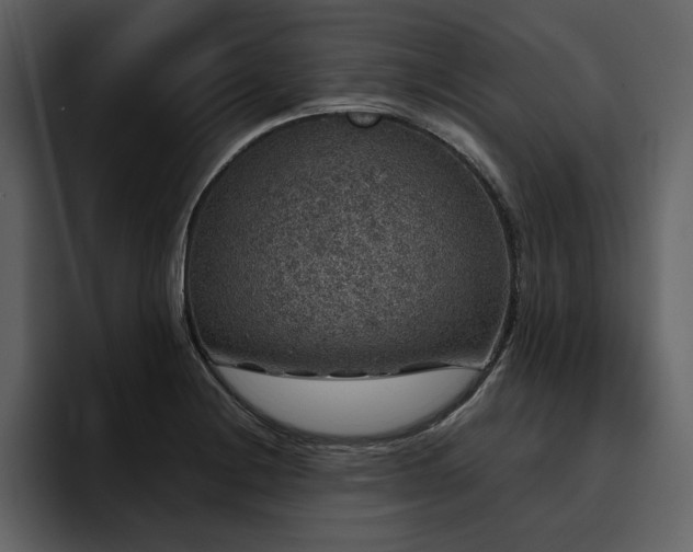 X0000095951228200801111343