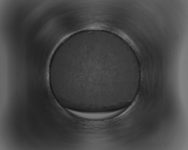 X0000095951232200801111343