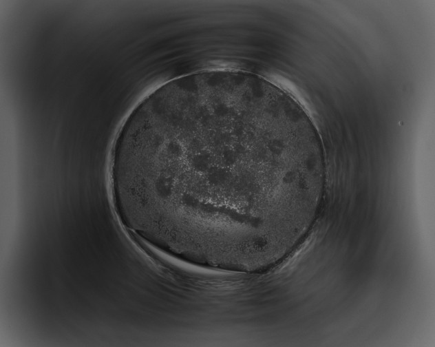 X0000095951235200801111343