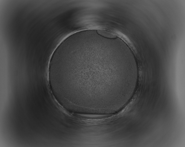X0000095951236200801111343