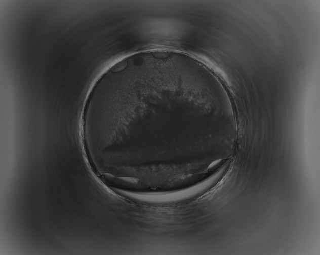 X0000095951239200801111343