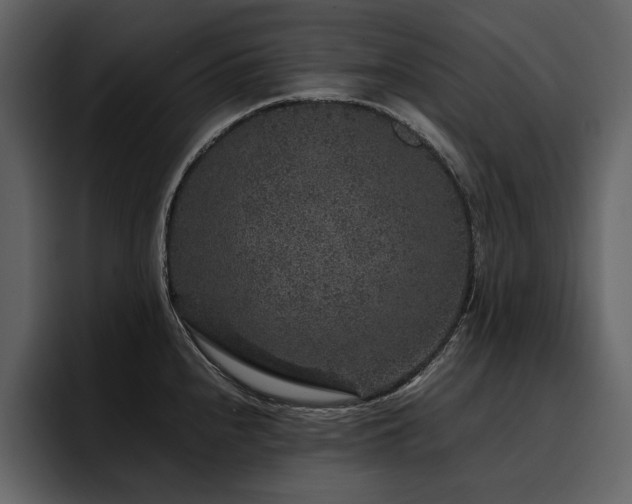 X0000095951240200801111343