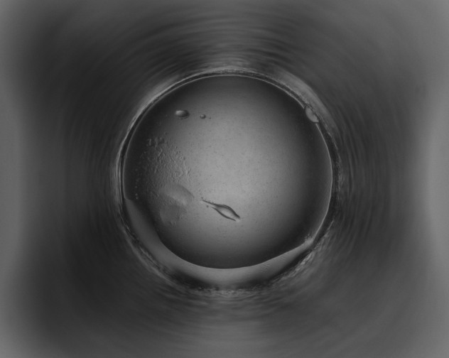 X0000095951242200801111343
