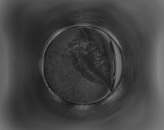 X0000095951245200801111343