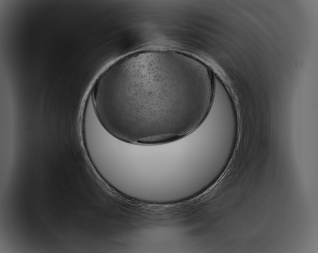 X0000095951248200801111343