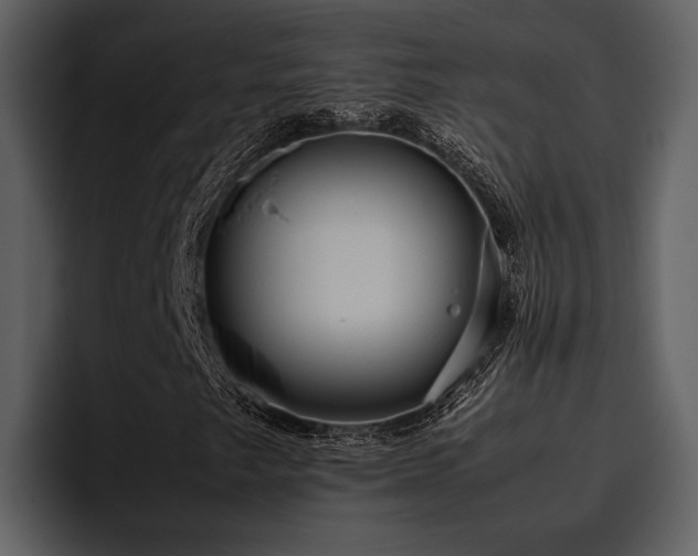 X0000095951249200801111343