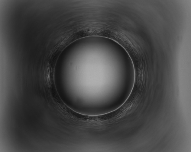 X0000095951250200801111343
