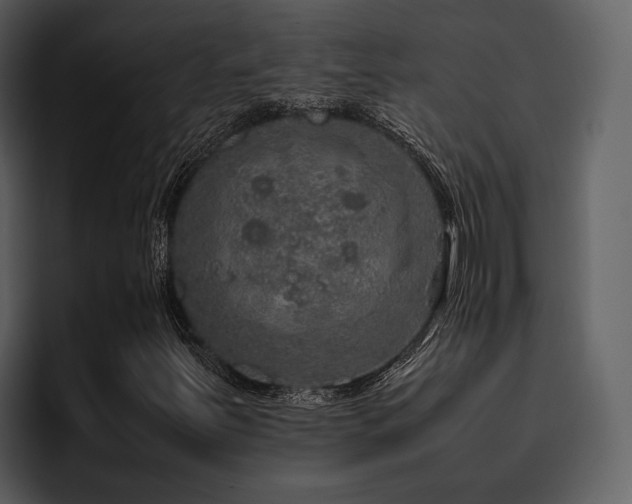 X0000095951251200801111343
