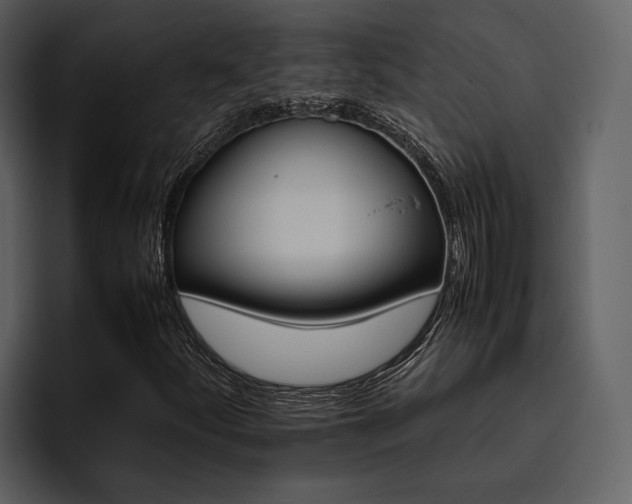 X0000095951252200801111343