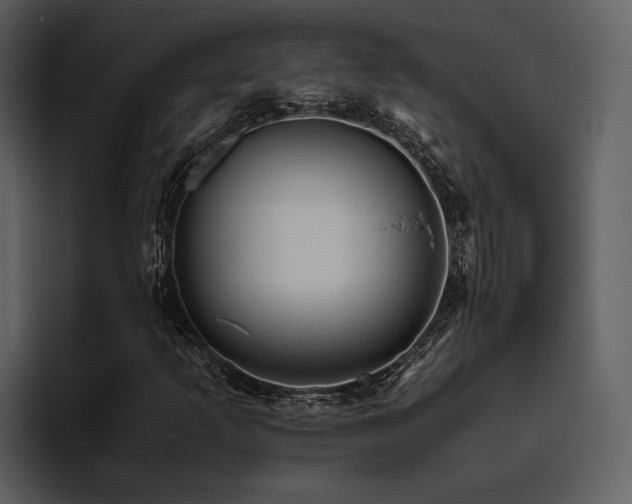 X0000095951253200801111343