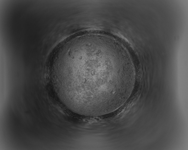 X0000095951255200801111343