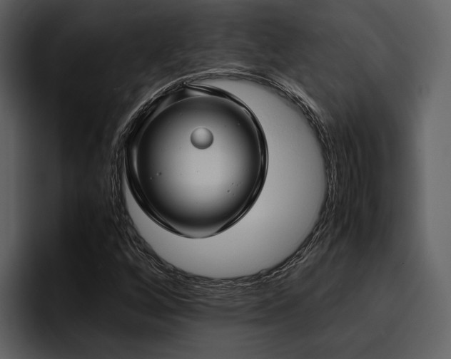 X0000095951256200801111343