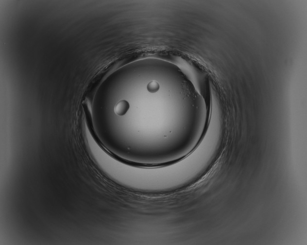 X0000095951257200801111343