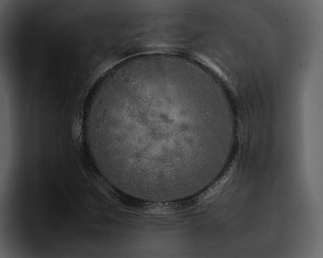 X0000095951259200801111343