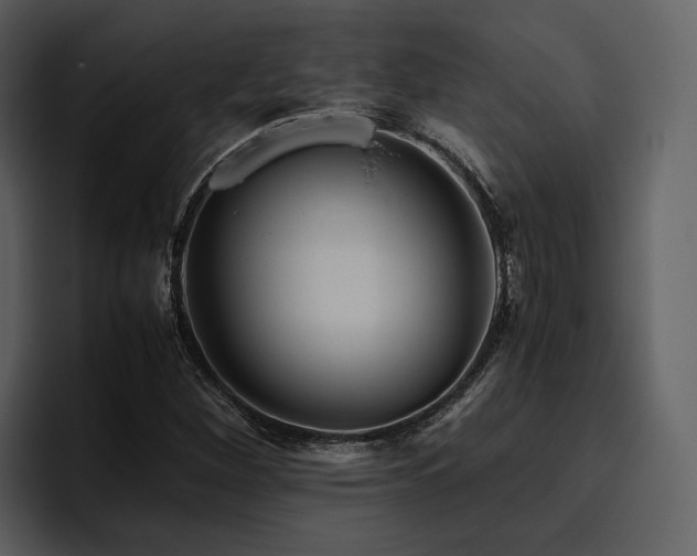 X0000095951260200801111343