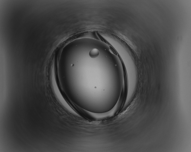 X0000095951261200801111343
