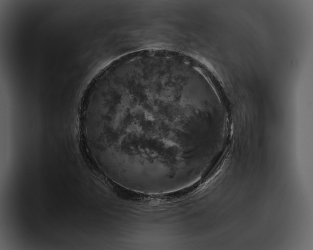 X0000095951263200801111343