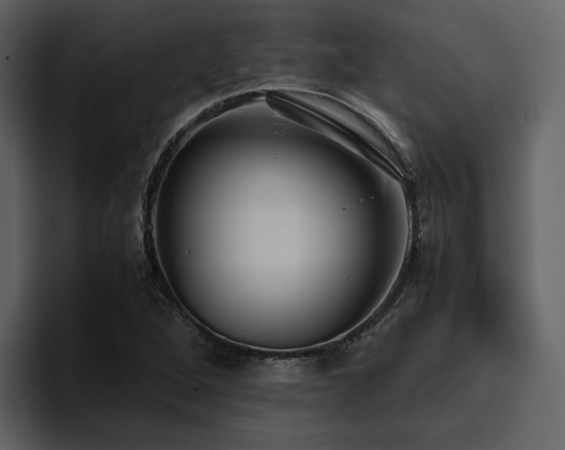 X0000095951264200801111343