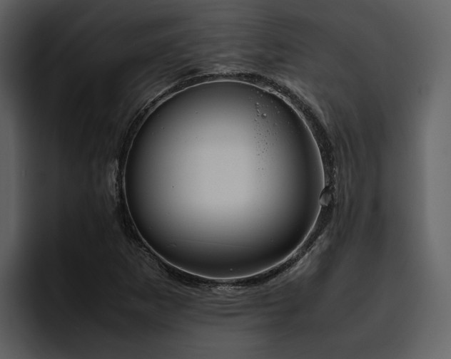 X0000095951265200801111343