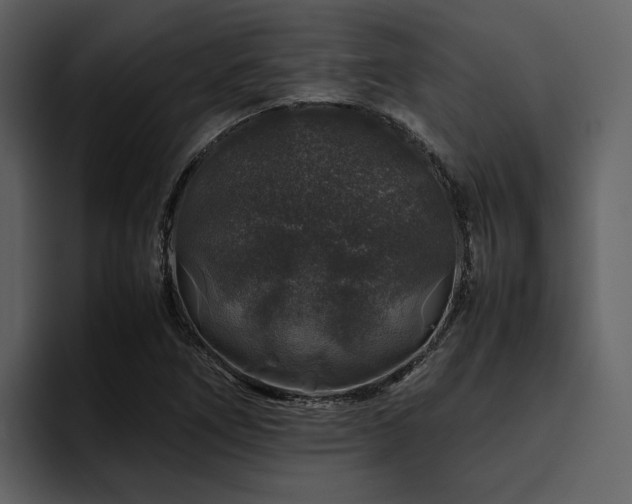 X0000095951266200801111343