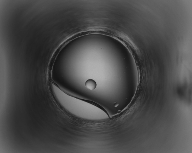 X0000095951268200801111343