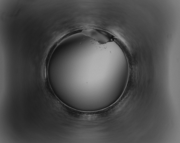 X0000095951269200801111343