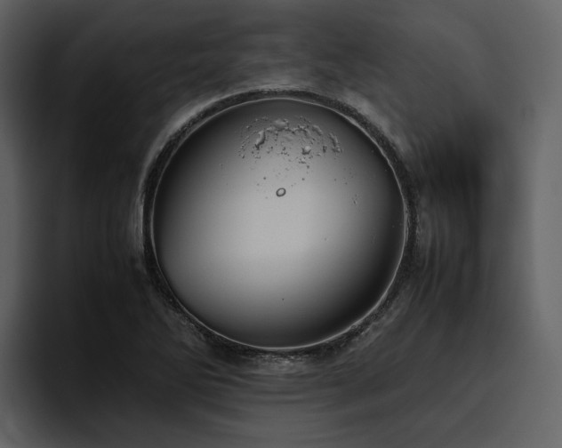 X0000095951270200801111342