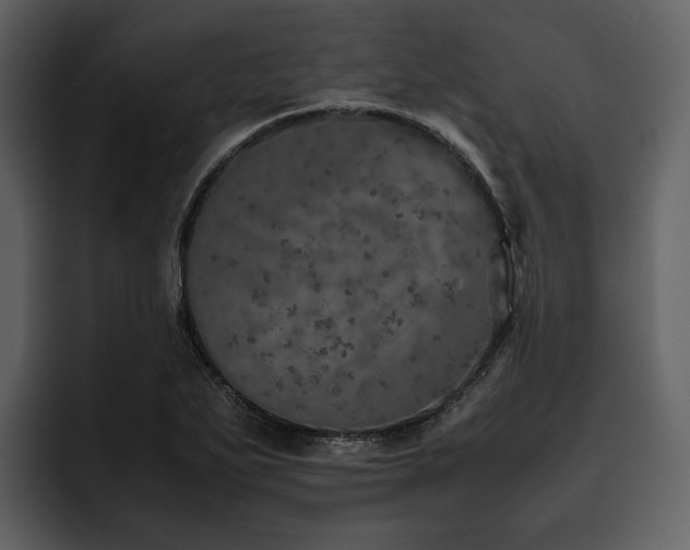 X0000095951271200801111342