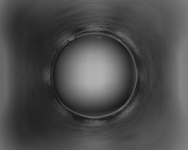 X0000095951273200801111342