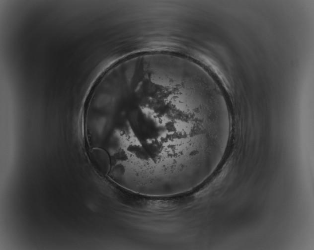 X0000095951275200801111342